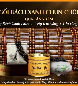 Gối Gỗ Bách Xanh - Tuyển chọn chất gỗ Chun Chớp đặc biệt
